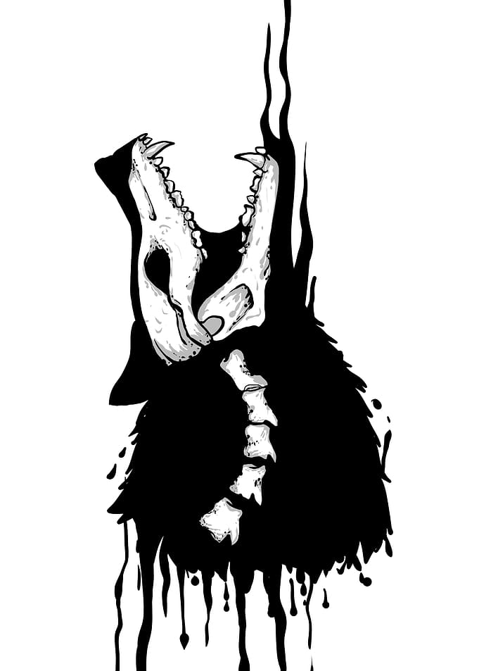 wolf skull