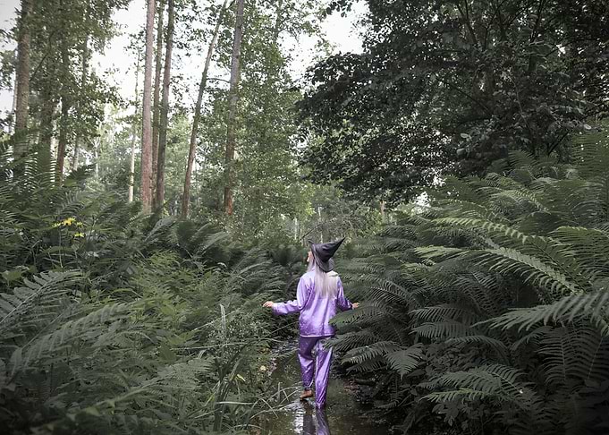 Magical forest