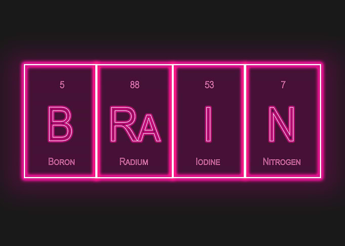 Brain