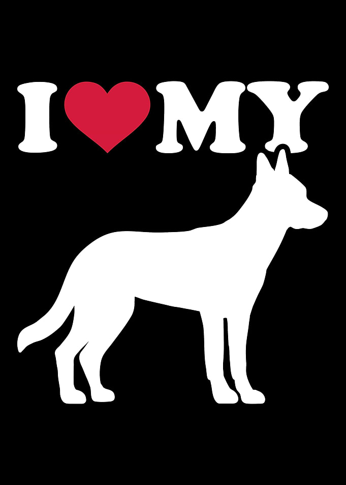 Malinois