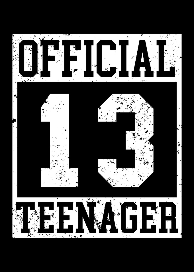 13 Official Teenager