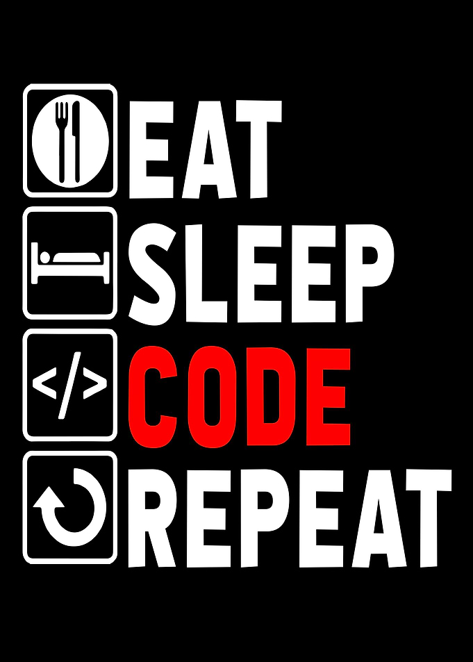 Programmer
