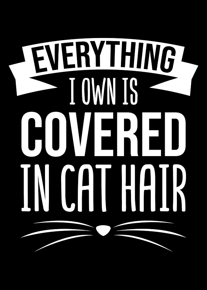 Covered In Cat Hair