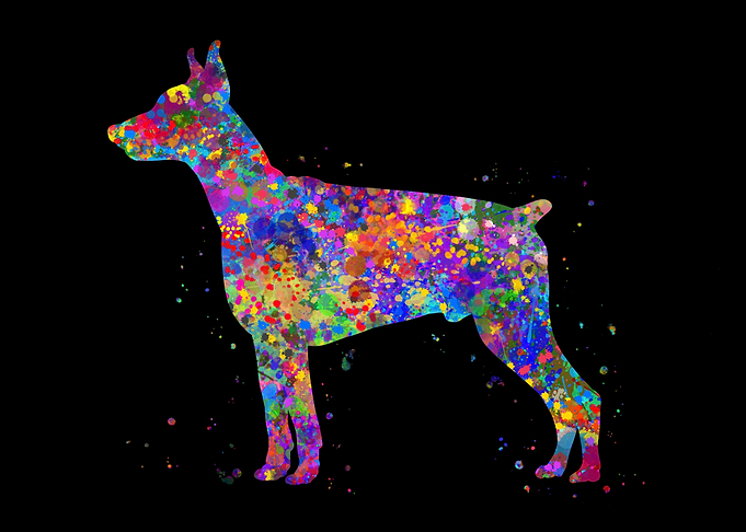 Doberman Pinscher rainbow