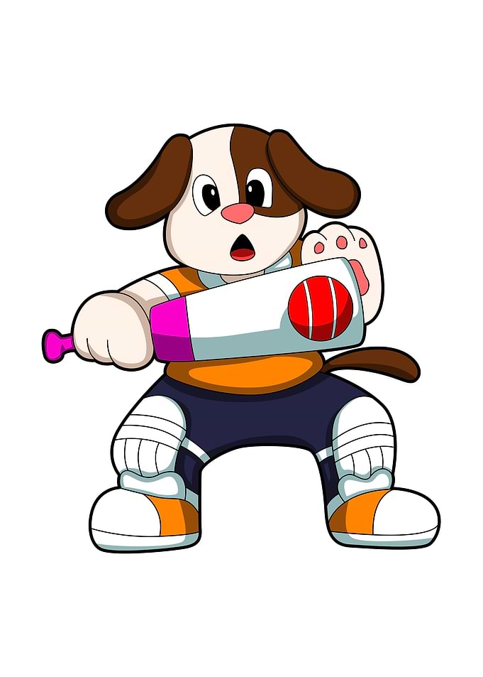 Dog Cricket player Sports