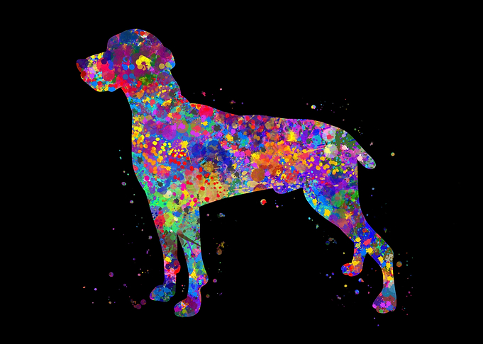 Weimaraner dog watercolor