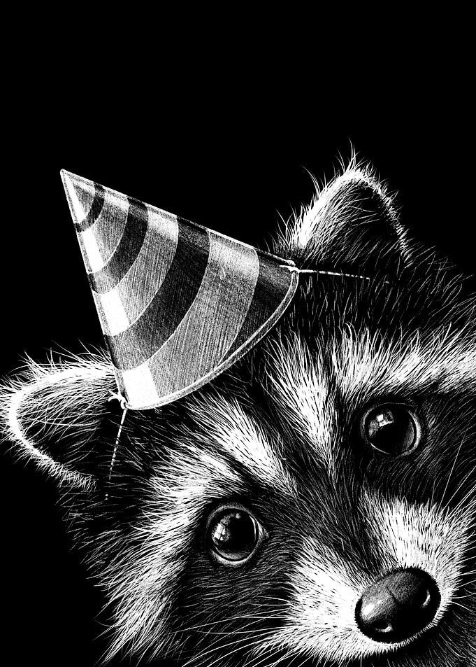 Raccoon Birthday