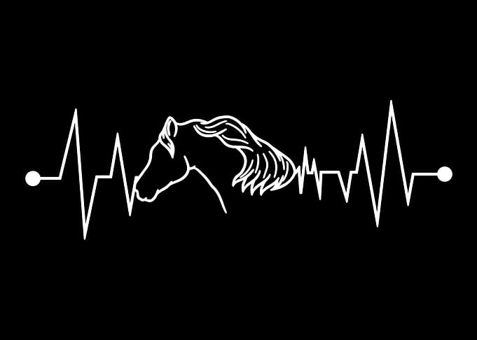 Horse heartbeat gift