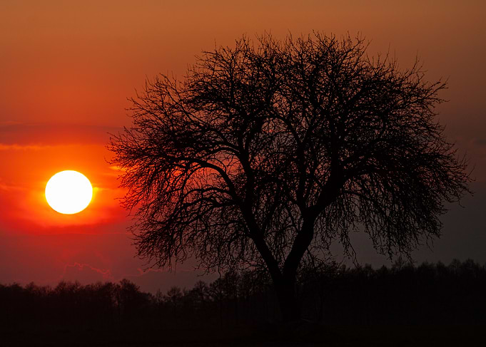 Spring sunset
