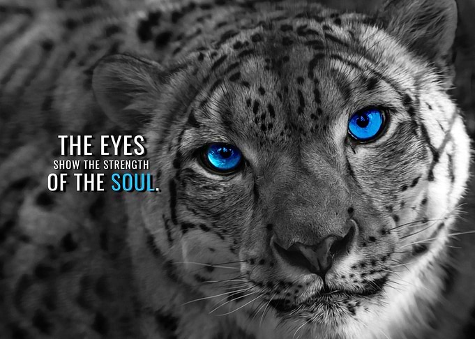 Strengths of the Soul