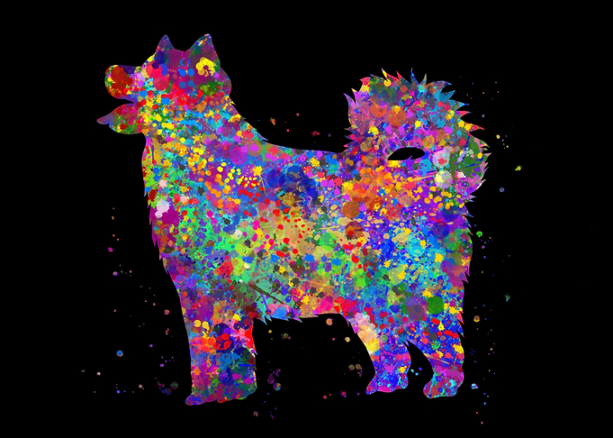 Alaskan Malamute colorful