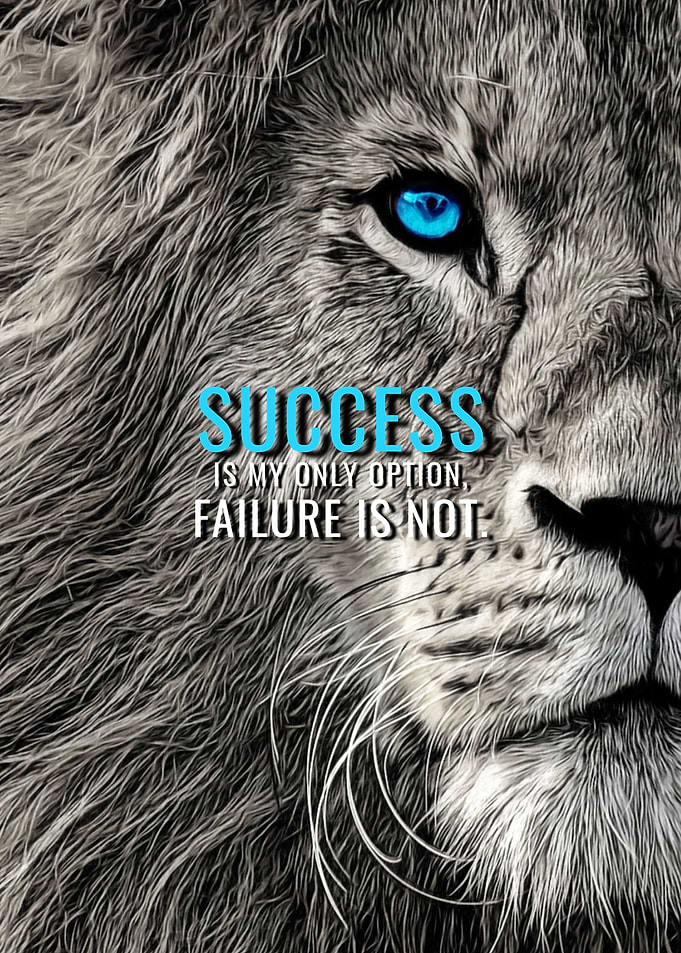 Success is my only option