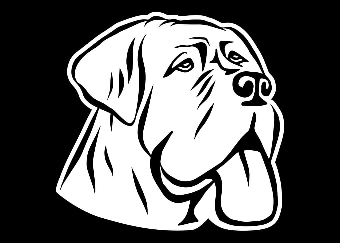 Mastiff