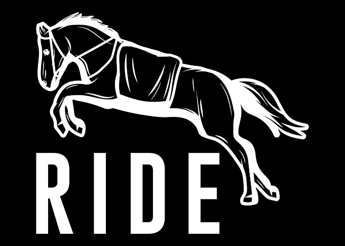 Horse motif gift