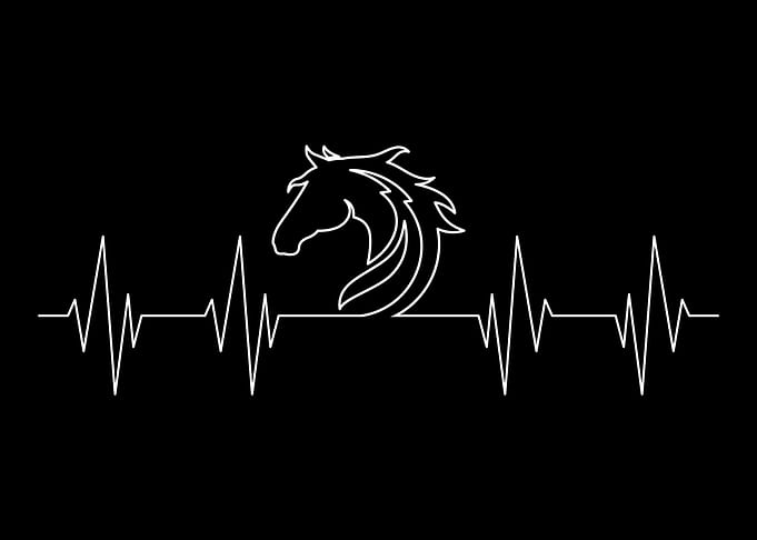 Horse silhouette gift
