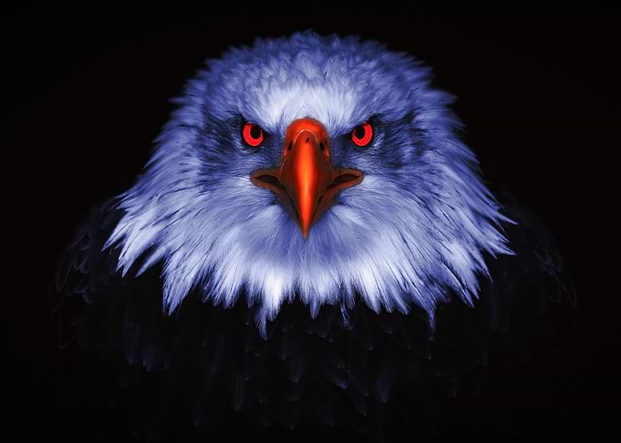 Eagle