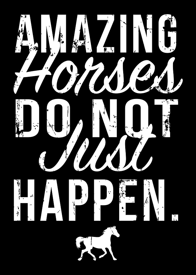 Equestrian gift
