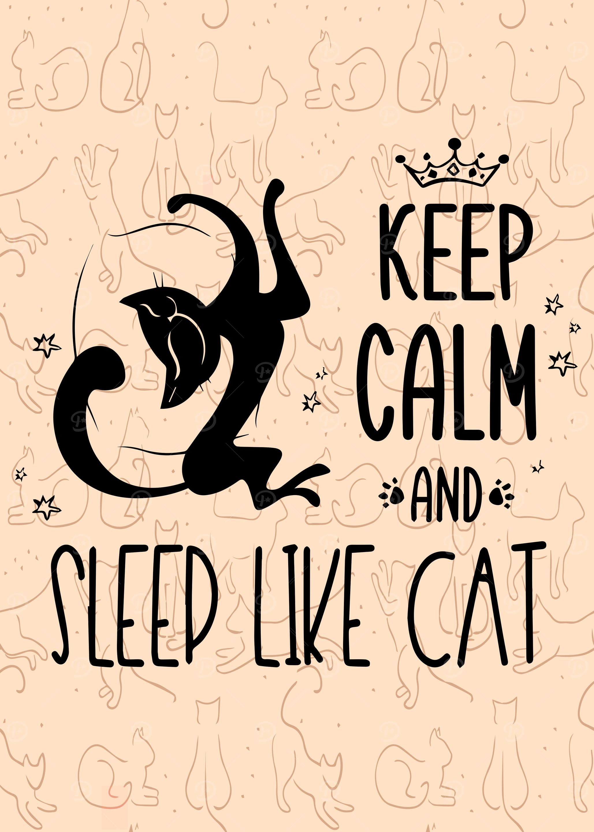 Black Cat