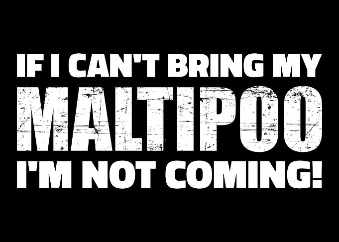 Maltipoo
