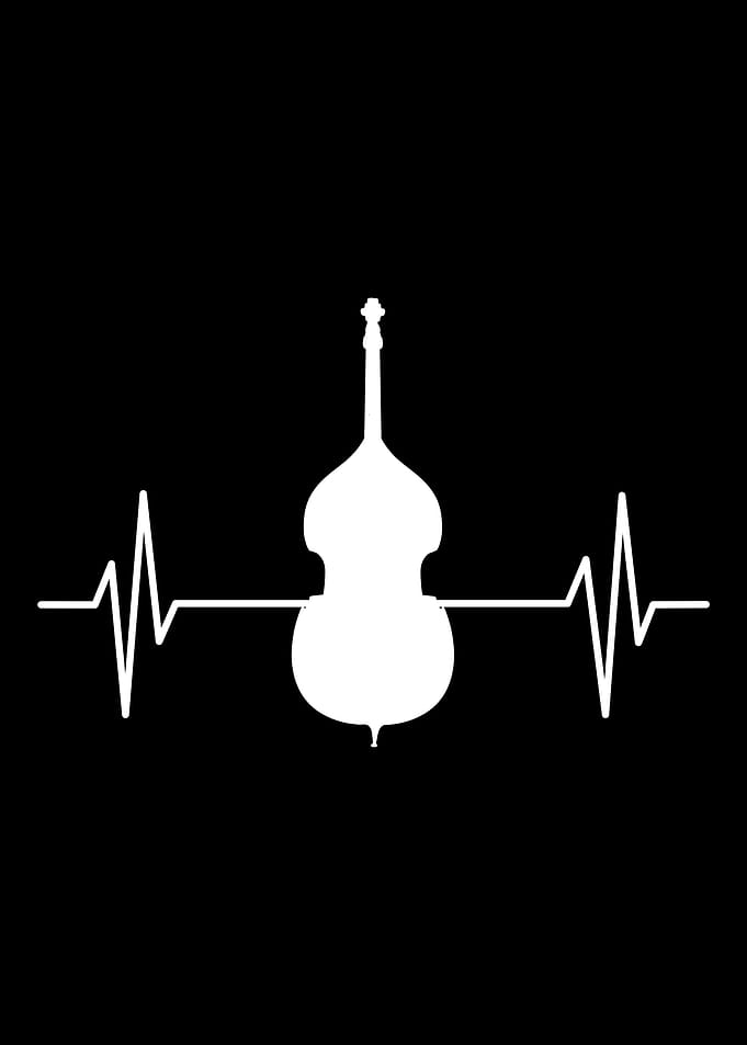 Double Bass Musikinstrumen