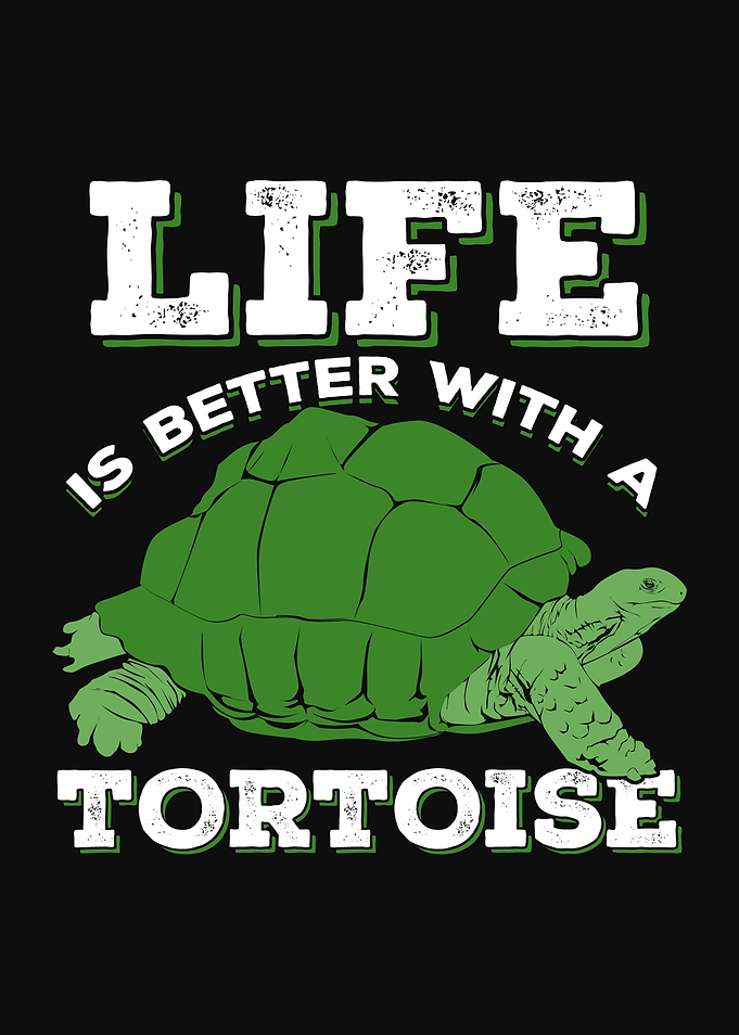 Tortoise Animal Design