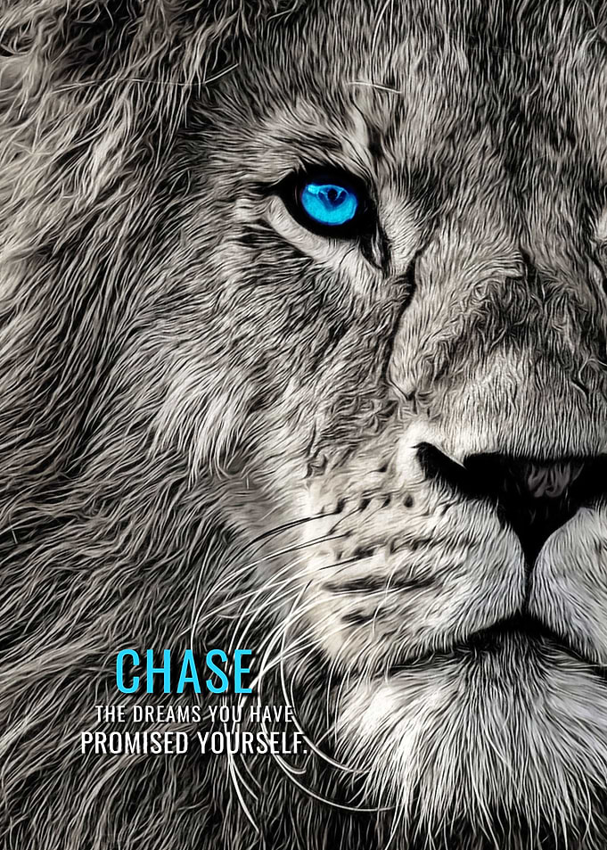Chase your Dreams