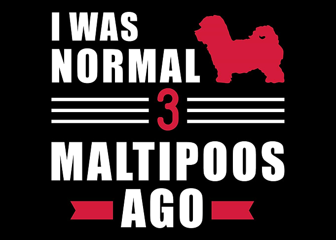 Maltipoo