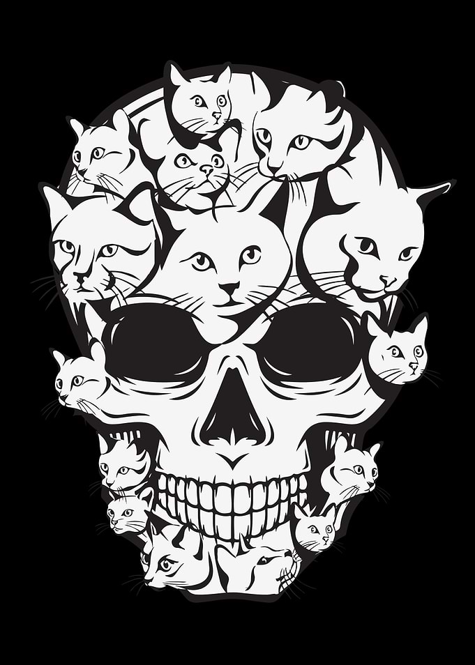 Cat Face Cats Silhouette