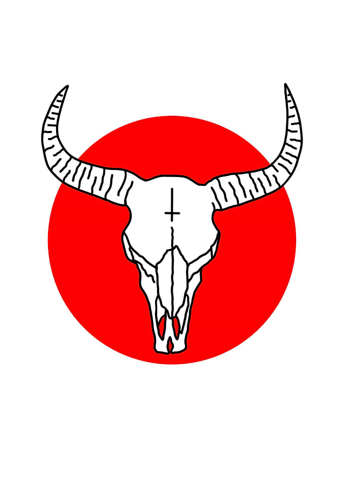 Anarchy Scull
