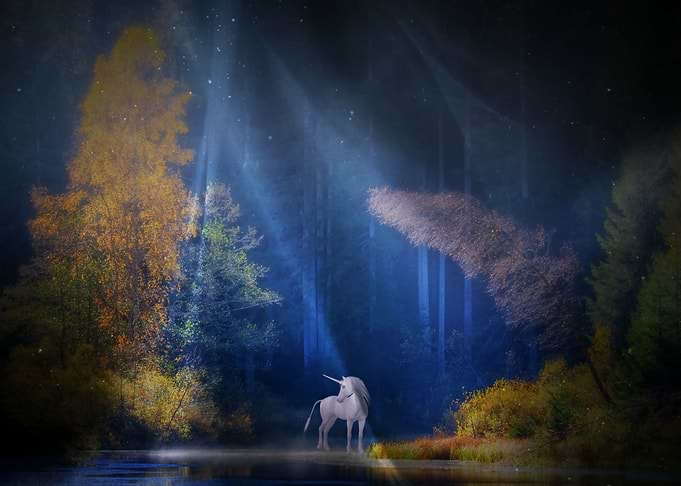 Unicorn
