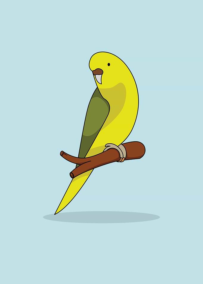 cute green bird