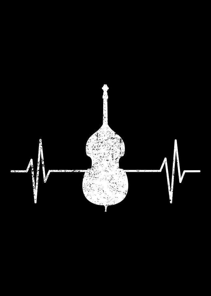 Dppelbass Double Bass Musi