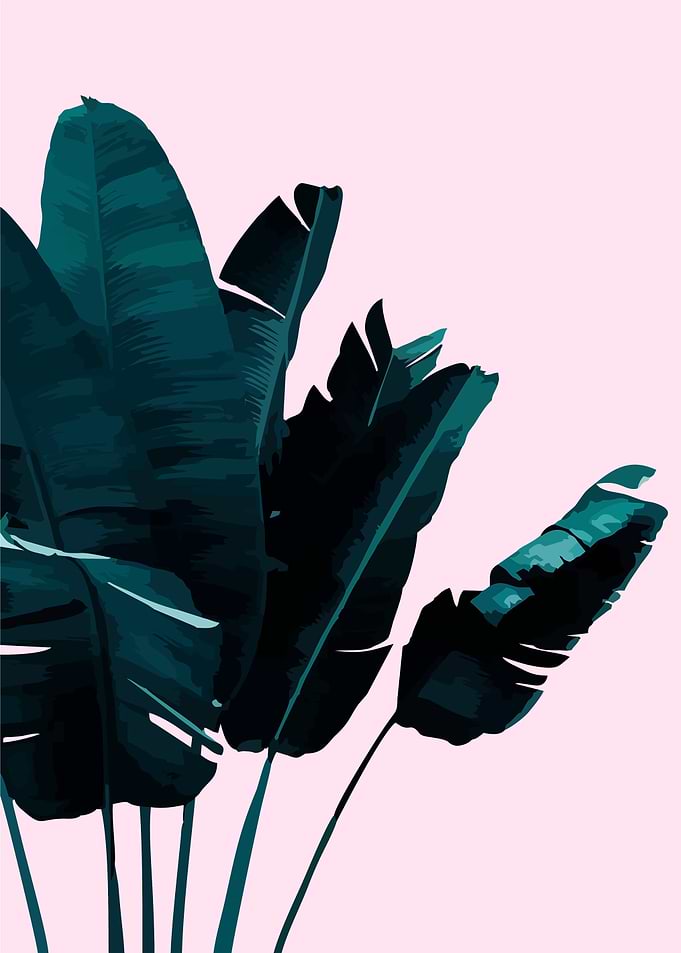 tropical