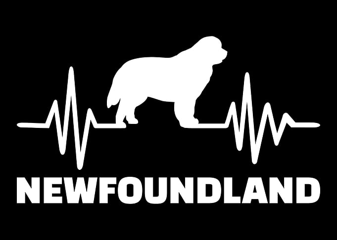 Newfoundland