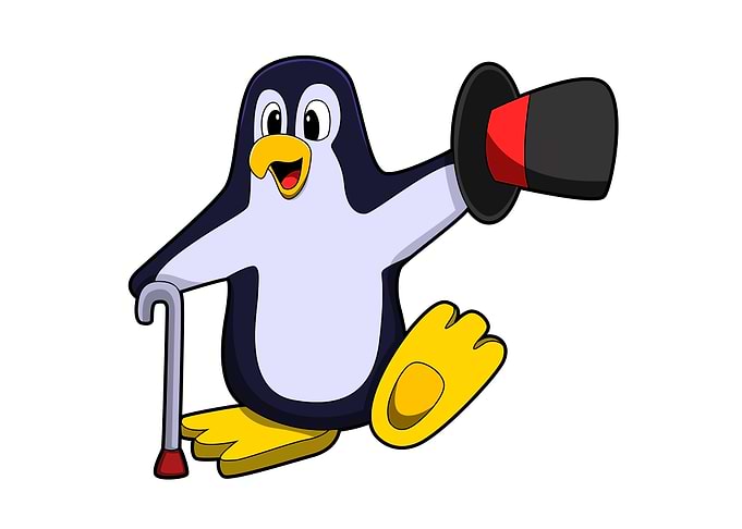 Penguin Hat Walking stick