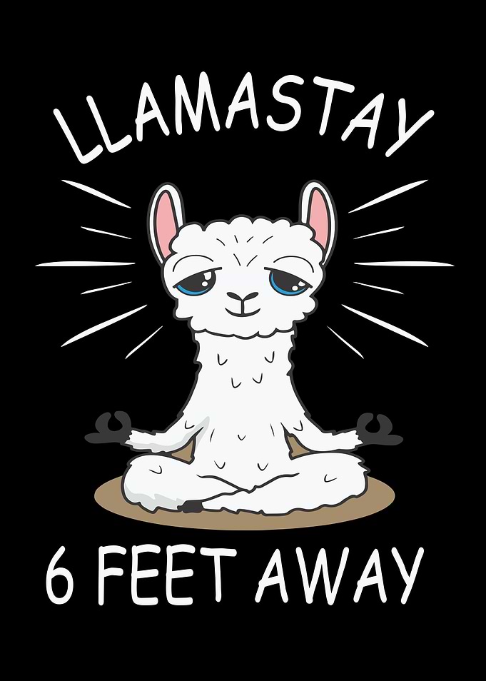 Alpaca Alpaca Baby Alpaca