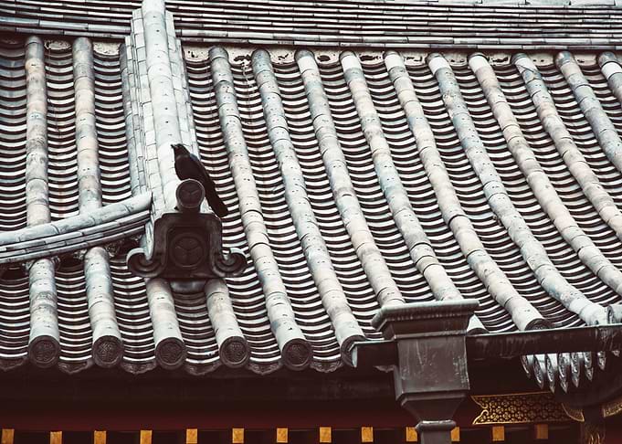 Crow on Roof