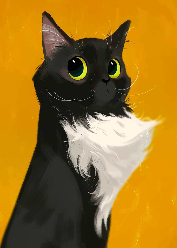 Black Cat