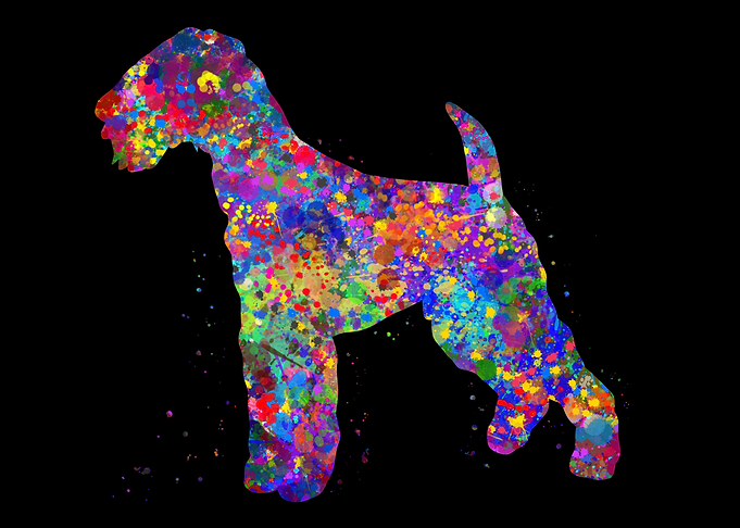 Airedale Terrier colorful
