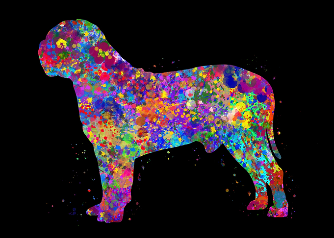Dogue de bordeaux colorful