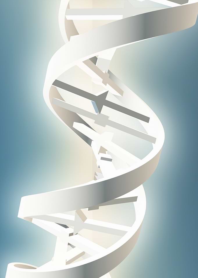 DNA strand