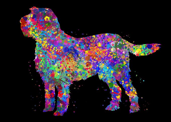 Italian Spinone watercolor