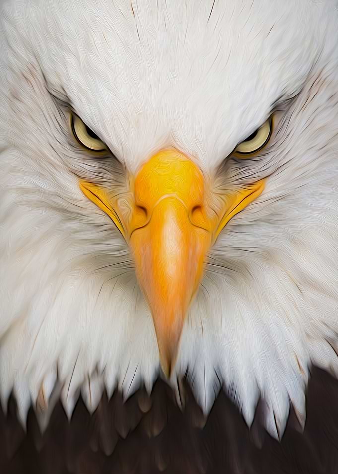 Eagle