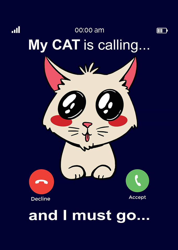 My Cat is calling and i