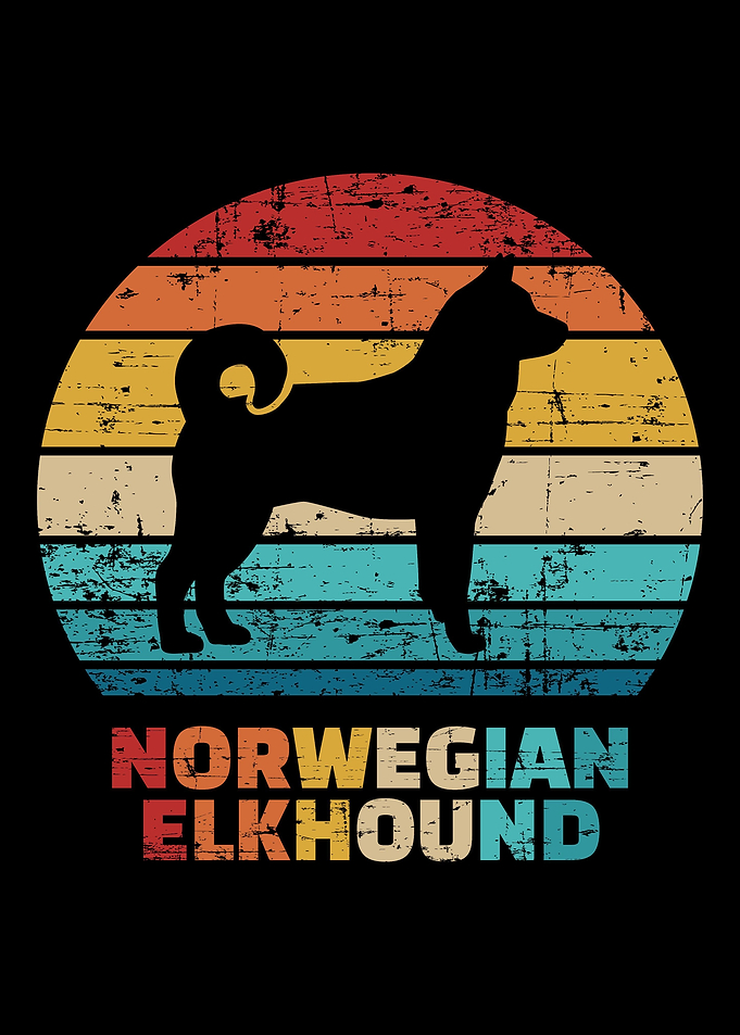 Norwegian Elkhound