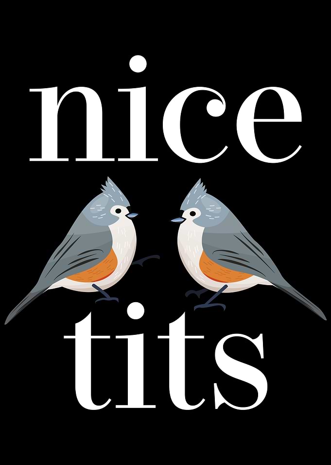 Cute Tufted Titmouse Funny