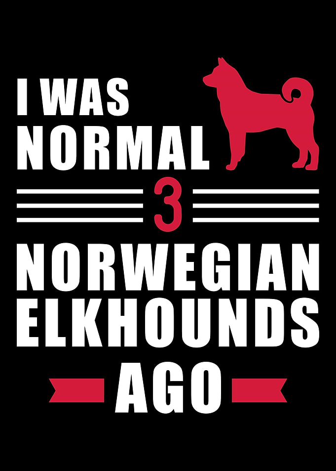 Norwegian Elkhound