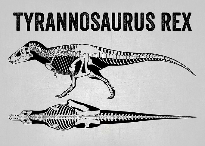 TYRANNOSAURUS REX RUNNING