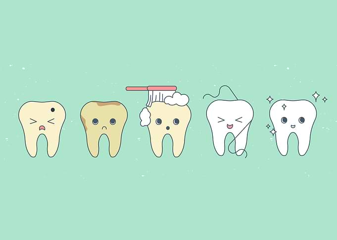Dentist Vol 8