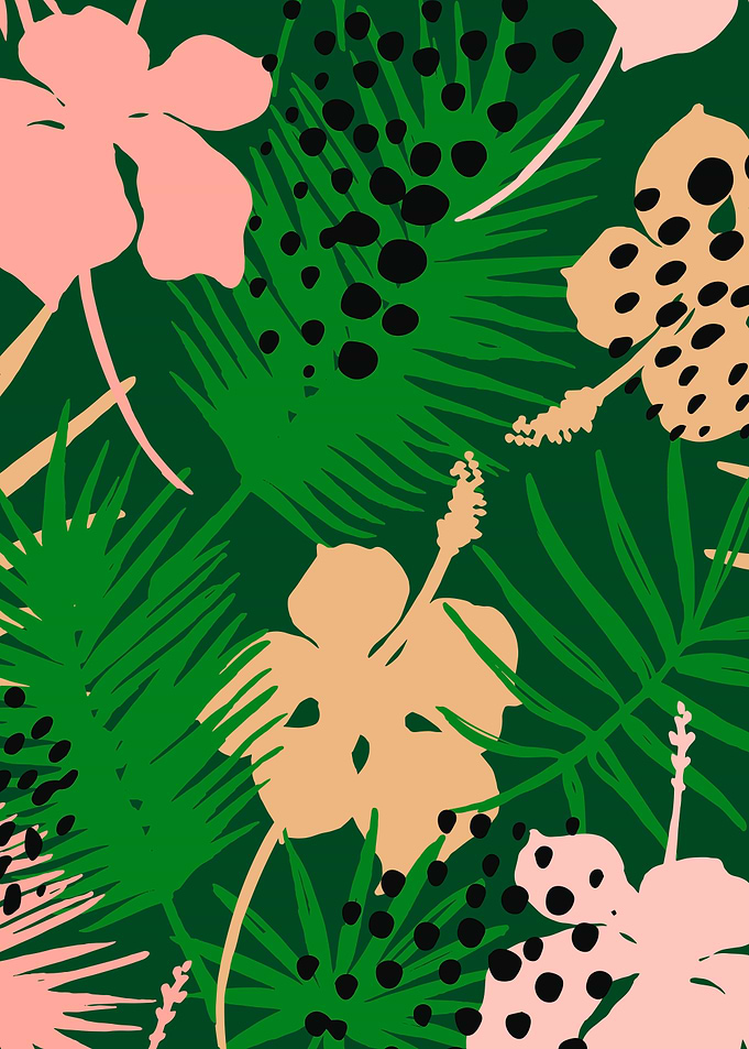 tropical plants Palm
